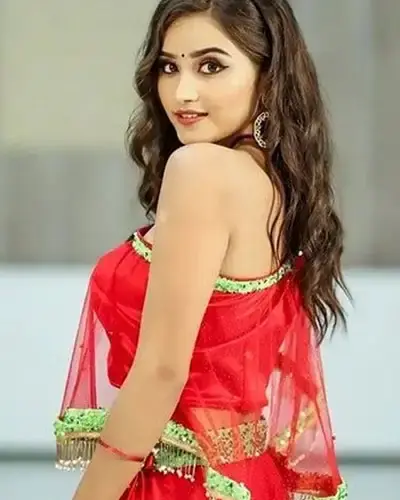 Escort In Mandsaur